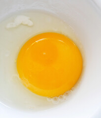 embryo in the egg albumen and yolk, organic eggs,