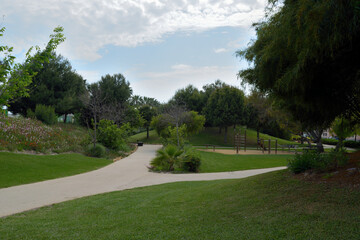 Fototapeta premium Quiet afternoon in the park.