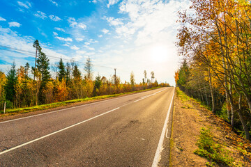 Suburban autumn road going up the hill. Mixed forest. Sunset. Autumn evening. Beautiful nature. Russia, Europe. View from the side of the road.