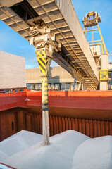 Loading bulk cargo into the hold of a bulk carrier in the port