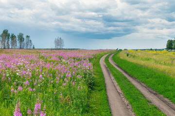 Wavy road in the field and purple flowers dark sky