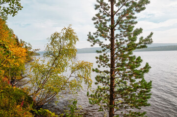 Golden autumn, Tuloma river (Kola Peninsula, Murmansk region)
