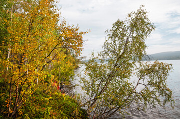 Golden autumn, Tuloma river (Kola Peninsula, Murmansk region)