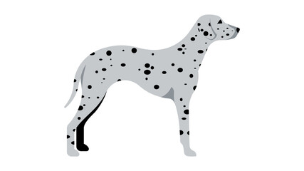 Dalmatian. Full height dog, silhouette. Vector isolated illustration of a thoroughbred dog.