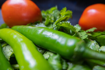 Close-up of chili peppers and tomatoes above coriander