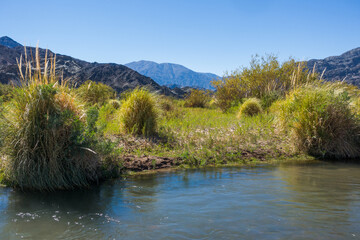 Small stream of water with mountains in the background