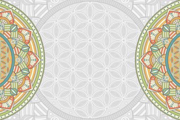 Vector ornamental background with mandala