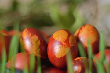 Red colorful Easter eggs in grass and green background. The eggs are dyed with the natural color of the onion shell. Close up, selective focus