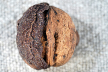 Close-up of walnuts on wooden surface. Selective focus on foreground. Walnut in shell. Food. Raw. Vegan friendly. Vegetable protein.                           