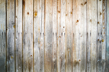 Natural wood with a rough structure, photographed outdoors in daylight