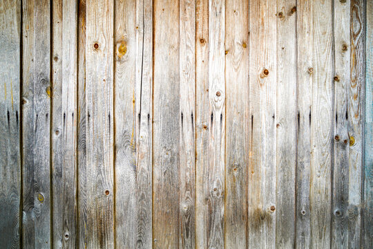 Natural wood with a rough structure, photographed outdoors in daylight