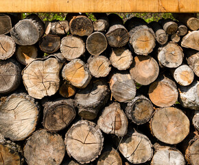 View to a stack of cut thick branches that are to be used as firewood for the winter.