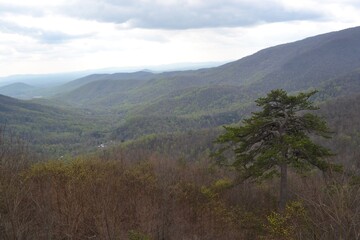 Obraz premium view of the mountains