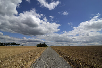 Landscape with a lonely path in bright sunshine