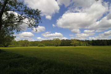 Green landscape in sunshine with blue sky and white clouds