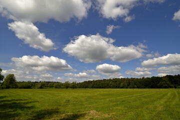 Green landscape in sunshine with blue sky and white clouds
