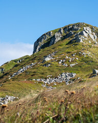 Un versante del monte Aquilotto viso dalla Sella del Marmagna ,appennino Tosco-Emiliano . 