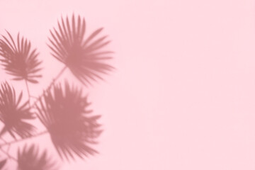 Fototapeta na wymiar Palm leaf shadow on pastel pink background with copy space