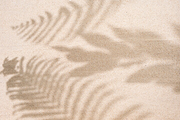 Fototapeta na wymiar Tropical palm leaf shadow on sand background, copy space