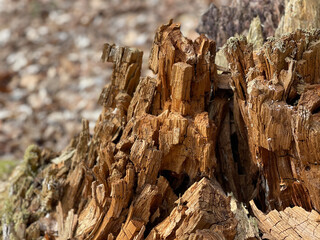 formations in region country