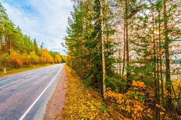 Turn the country broken road. Mixed forest. Sunset over the forest lake. Autumn weather. Beautiful nature. Russia, Europe. View from the side of the road.