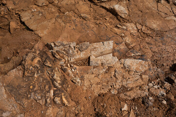 Rocky Road, road less travelled by.
showing textures of a rugged terrain