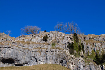 Limestone Cliffs and trees