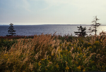 Parc national du Forillon, Gaspésie, Québec, Canada