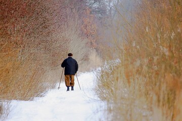 strolling through winter scenery