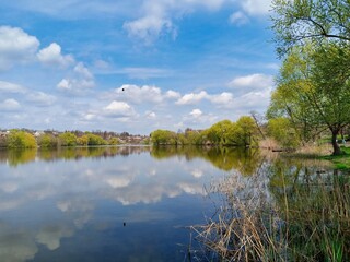 Spring landscape, landscape with lake