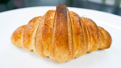  baked butter croissant background