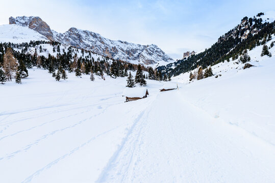 Val Duron, Campitello di Fassa, Dolomiti, Alpi, Trentino Alto Adige, Val di Fiemme