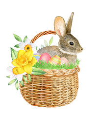 Watercolor rabbit, hare sitting in basket. Easter hand drawn illustration isolated on white background.