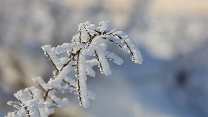 Esta foto fue tomada en el Embalse del Ebro, Campoo, en la provincia de Cantabria, España
