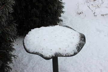 Amazing winter scenes from a snow and ice storm