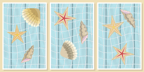 seashells and starfish - wall art vector set.  For wall art, poster, wallpaper, print. 