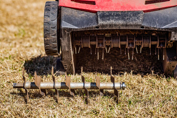 Lawn care - old grass removal and soil aeration with scarifier