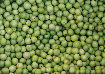 Beautiful macro of many green raw olives