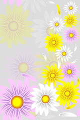 summer frame of multicolored daisies with room for text