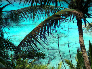 Mer turquoise