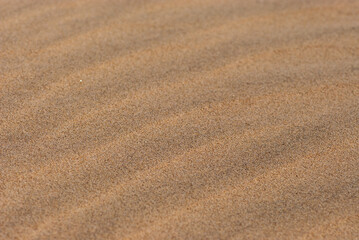 Fototapeta na wymiar Background image of close-up yellow waves of sand in nature park of Jandia on deserted island Fuerteventura