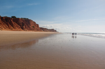 Morning walk on the beach