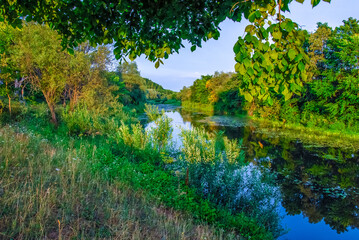 river in the woods