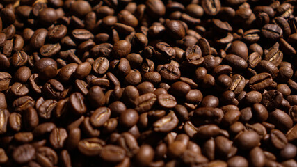 A Pile of Brown Arabica Coffee Beans in the Dark Background