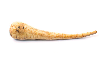 Pastinaca root vegetable