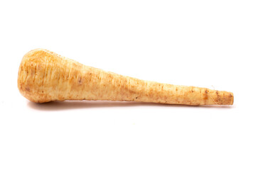 Pastinaca root vegetable