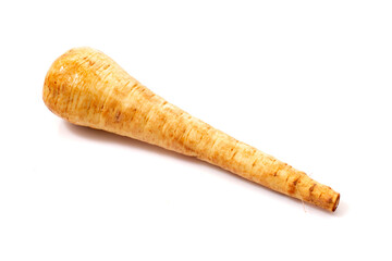 Pastinaca root vegetable