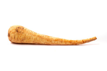 Pastinaca root vegetable