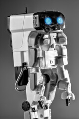 autonomous robot toy