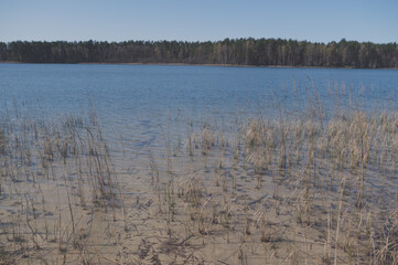 Clear water of lake with forest in background. Vintage film look.